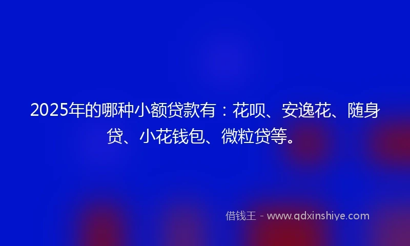 2025年的哪种小额贷款有：花呗、安逸花、随身贷、小花钱包、微粒贷等。
