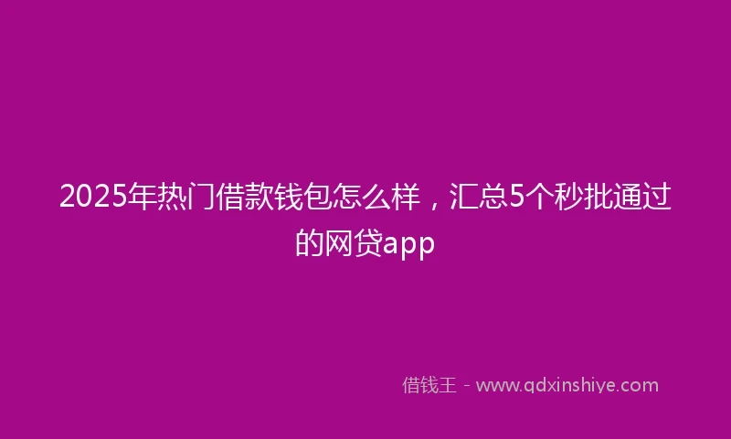 2025年热门借款钱包怎么样，汇总5个秒批通过的网贷app