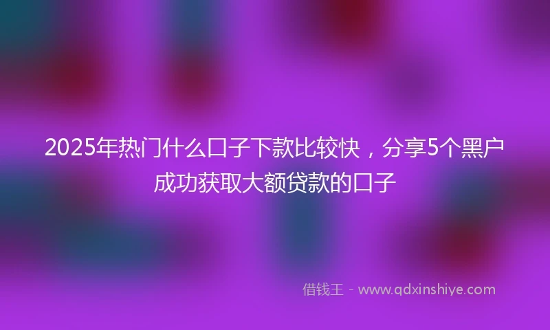 2025年热门什么口子下款比较快，分享5个黑户成功获取大额贷款的口子