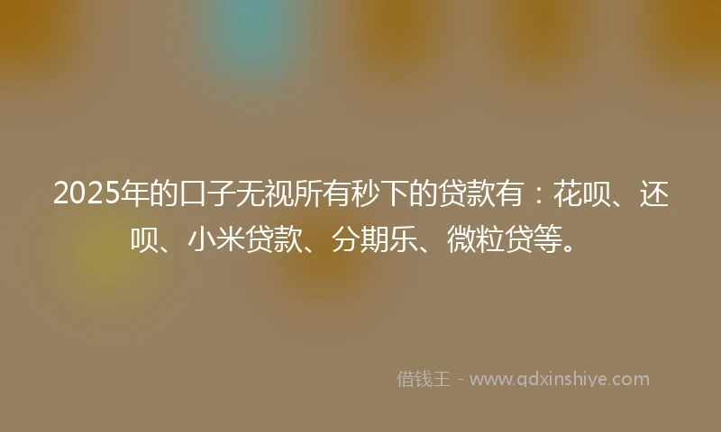 2025年的口子无视所有秒下的贷款有：花呗、还呗、小米贷款、分期乐、微粒贷等。