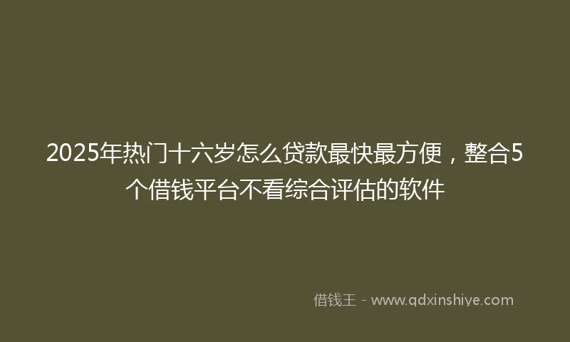 2025年热门十六岁怎么贷款最快最方便，整合5个借钱平台不看综合评估的软件