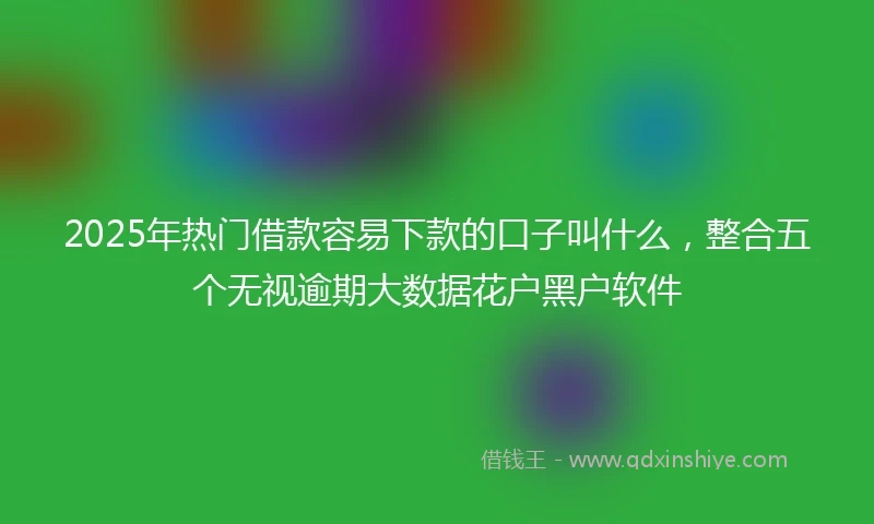 2025年热门借款容易下款的口子叫什么，整合五个无视逾期大数据花户黑户软件