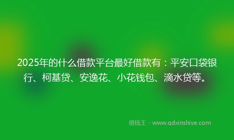 2025年的什么借款平台最好借款有：平安口袋银行、柯基贷、安逸花、小花钱包、滴水贷等。