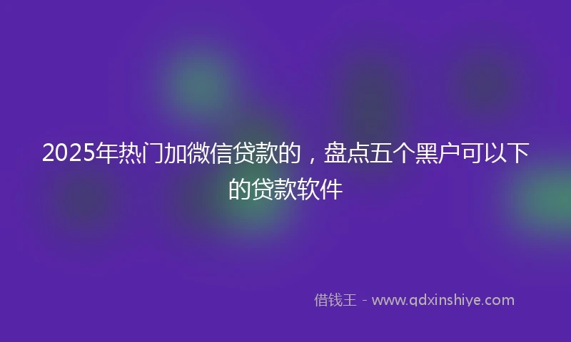 2025年热门加微信贷款的，盘点五个黑户可以下的贷款软件