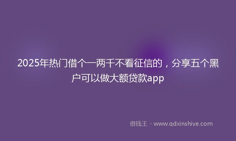 2025年热门借个一两千不看征信的，分享五个黑户可以做大额贷款app