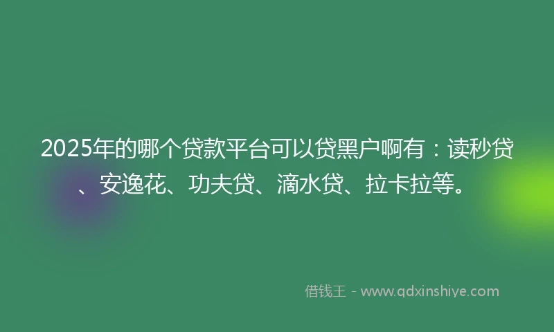 2025年的哪个贷款平台可以贷黑户啊有:读秒贷、安逸花、功夫贷、滴水贷、拉卡拉等。