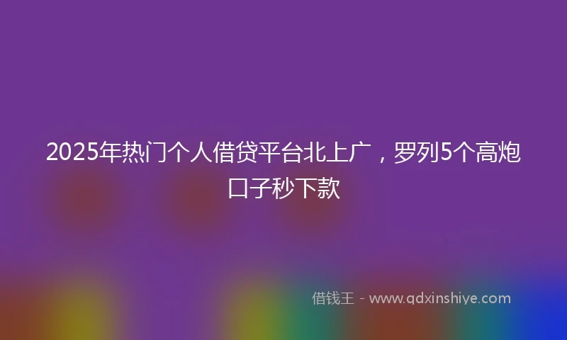 2025年热门个人借贷平台北上广，罗列5个高炮口子秒下款