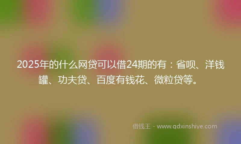 2025年的什么网贷可以借24期的有：省呗、洋钱罐、功夫贷、百度有钱花、微粒贷等。