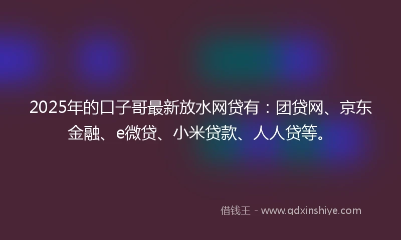 2025年的口子哥最新放水网贷有：团贷网、京东金融、e微贷、小米贷款、人人贷等。