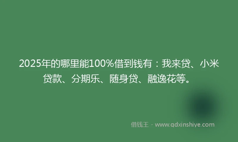 2025年的哪里能100%借到钱有：我来贷、小米贷款、分期乐、随身贷、融逸花等。