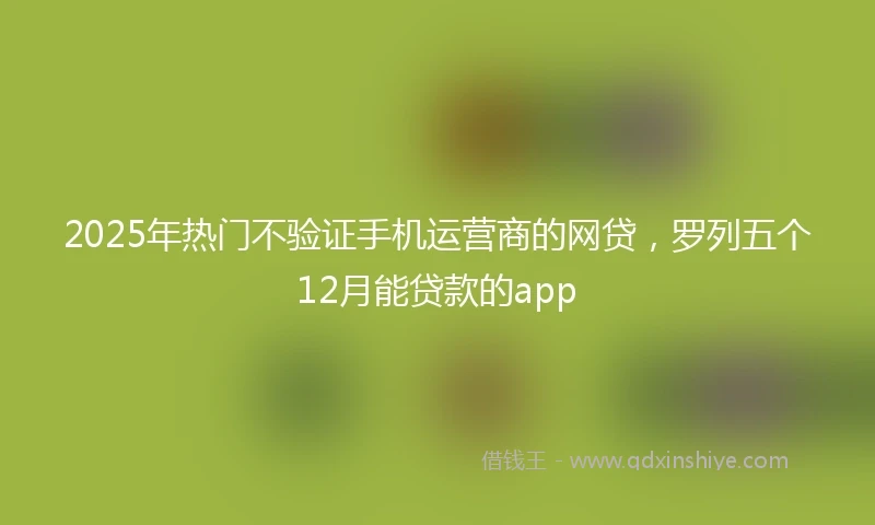 2025年热门不验证手机运营商的网贷，罗列五个12月能贷款的app