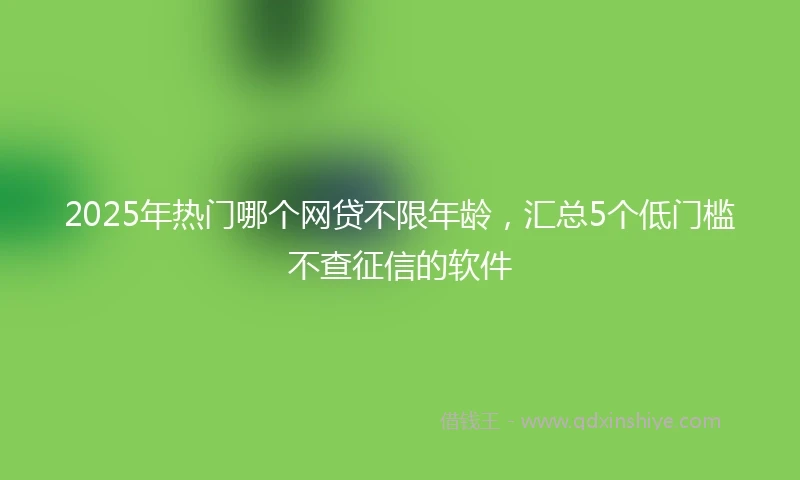 2025年热门哪个网贷不限年龄，汇总5个低门槛不查征信的软件