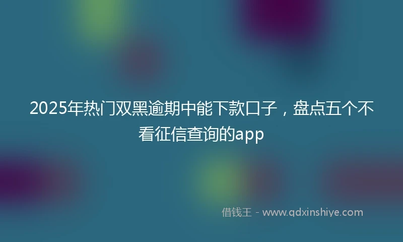 2025年热门双黑逾期中能下款口子，盘点五个不看征信查询的app