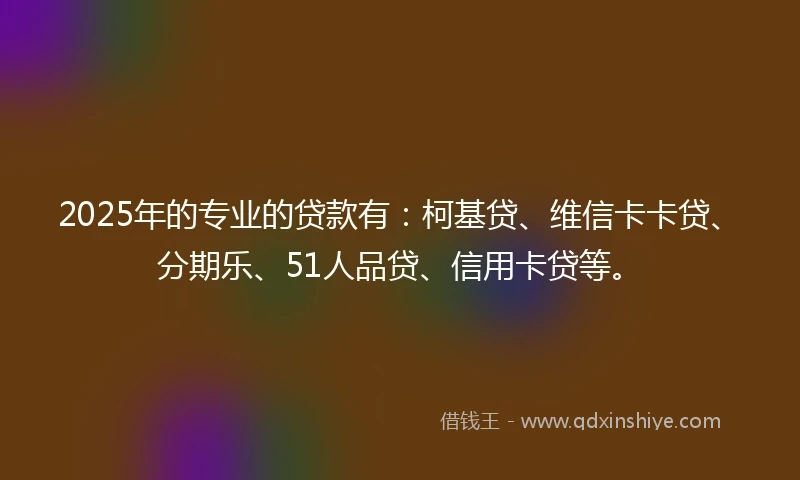 2025年的专业的贷款有：柯基贷、维信卡卡贷、分期乐、51人品贷、信用卡贷等。
