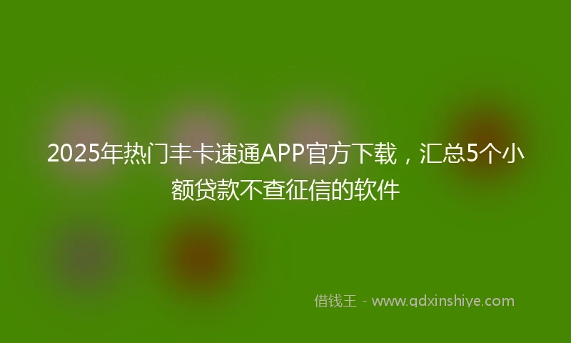 2025年热门丰卡速通APP官方下载,汇总5个小额贷款不查征信的软件