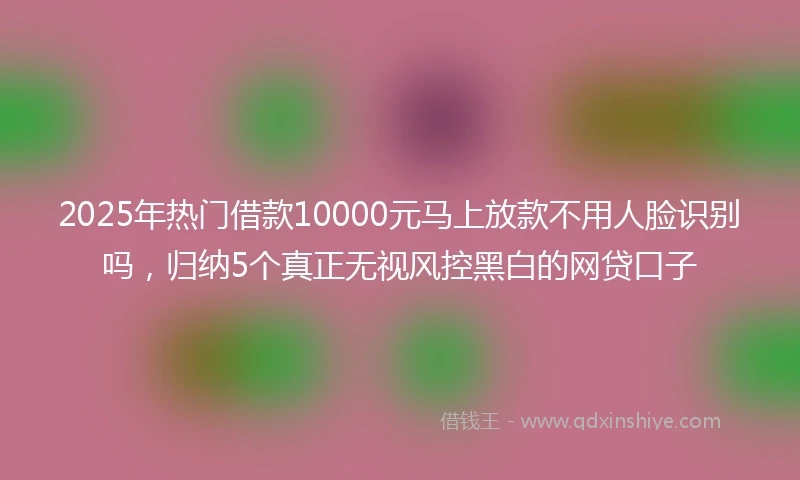 2025年热门借款10000元马上放款不用人脸识别吗，归纳5个真正无视风控黑白的网贷口子