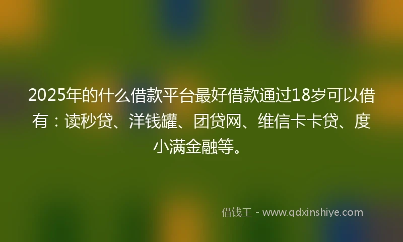 2025年的什么借款平台最好借款通过18岁可以借有：读秒贷、洋钱罐、团贷网、维信卡卡贷、度小满金融等。