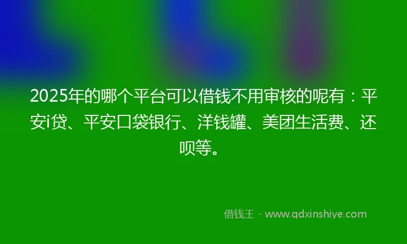 2025年的哪个平台可以借钱不用审核的呢有：平安i贷、平安口袋银行、洋钱罐、美团生活费、还呗等。