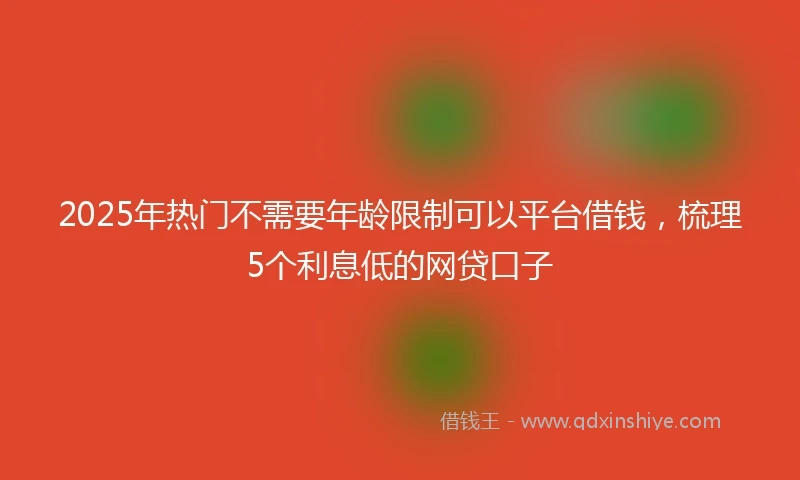 2025年热门不需要年龄限制可以平台借钱，梳理5个利息低的网贷口子
