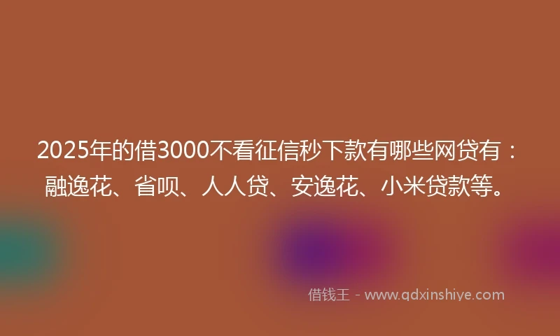 2025年的借3000不看征信秒下款有哪些网贷有：融逸花、省呗、人人贷、安逸花、小米贷款等。