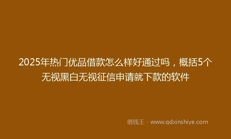 2025年热门优品借款怎么样好通过吗，概括5个无视黑白无视征信申请就下款的软件
