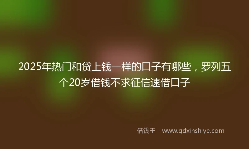 2025年热门和贷上钱一样的口子有哪些，罗列五个20岁借钱不求征信速借口子