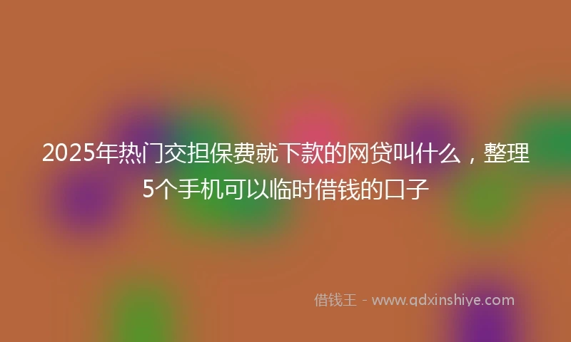 2025年热门交担保费就下款的网贷叫什么，整理5个手机可以临时借钱的口子