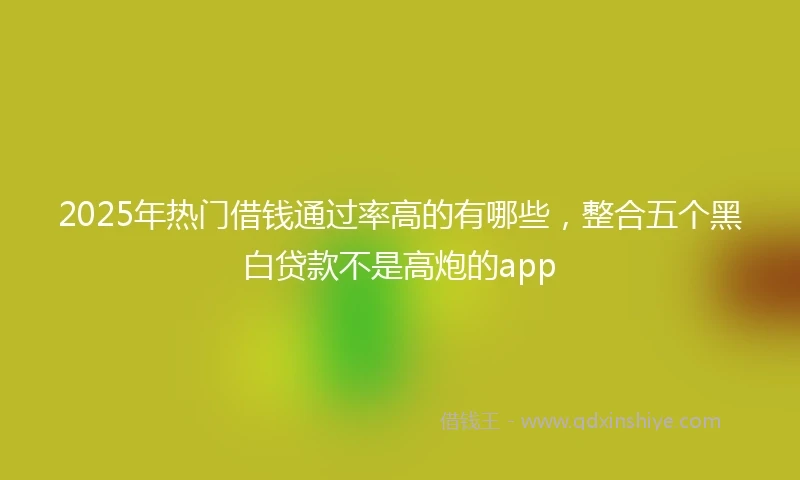2025年热门借钱通过率高的有哪些，整合五个黑白贷款不是高炮的app