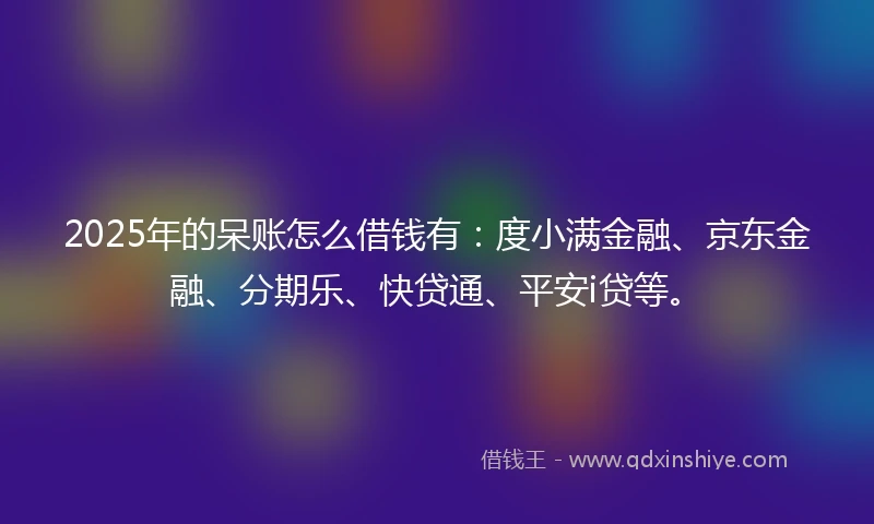 2025年的呆账怎么借钱有：度小满金融、京东金融、分期乐、快贷通、平安i贷等。