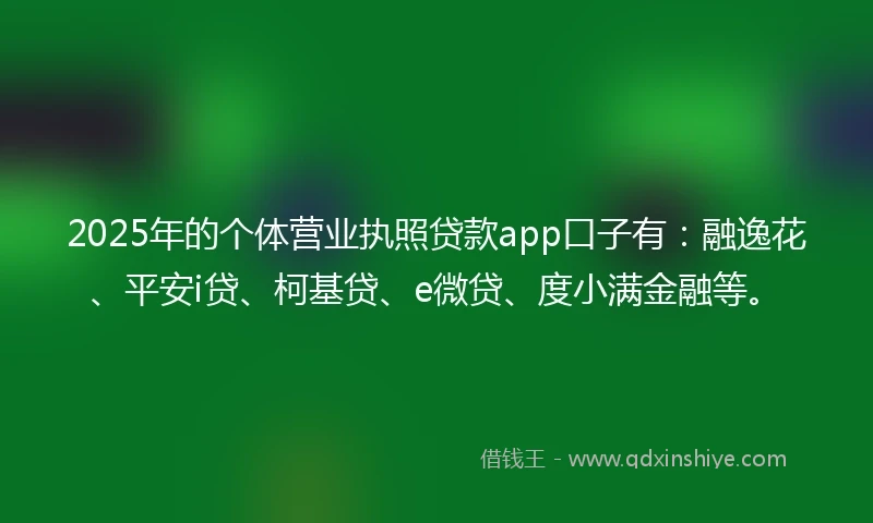 2025年的个体营业执照贷款app口子有：融逸花、平安i贷、柯基贷、e微贷、度小满金融等。