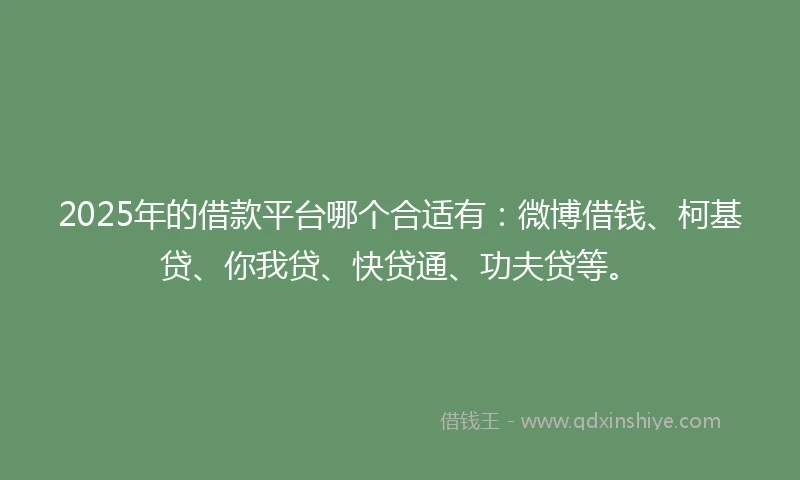 2025年的借款平台哪个合适有：微博借钱、柯基贷、你我贷、快贷通、功夫贷等。