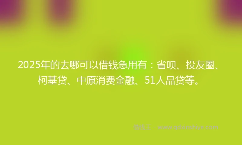 2025年的去哪可以借钱急用有：省呗、投友圈、柯基贷、中原消费金融、51人品贷等。