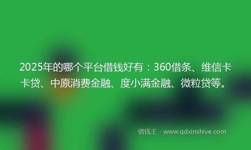 2025年的哪个平台借钱好有：360借条、维信卡卡贷、中原消费金融、度小满金融、微粒贷等。