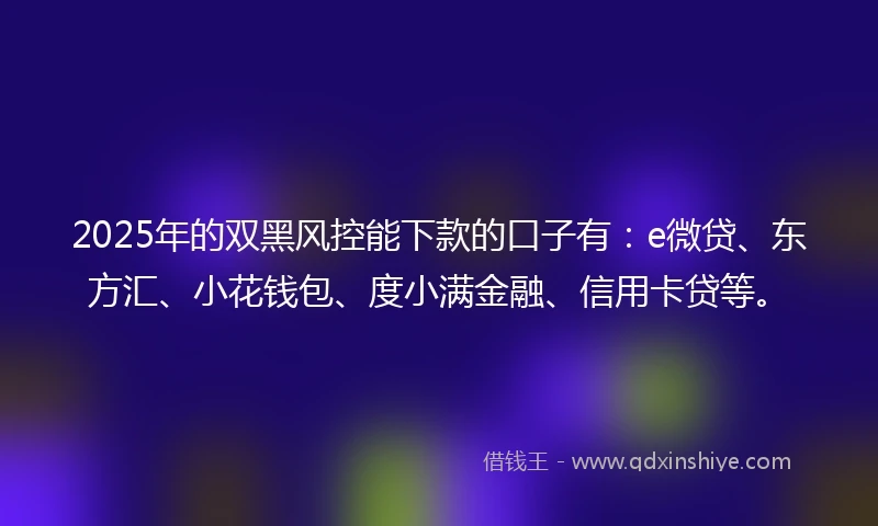 2025年的双黑风控能下款的口子有：e微贷、东方汇、小花钱包、度小满金融、信用卡贷等。