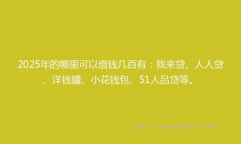 2025年的哪里可以借钱几百有：我来贷、人人贷、洋钱罐、小花钱包、51人品贷等。