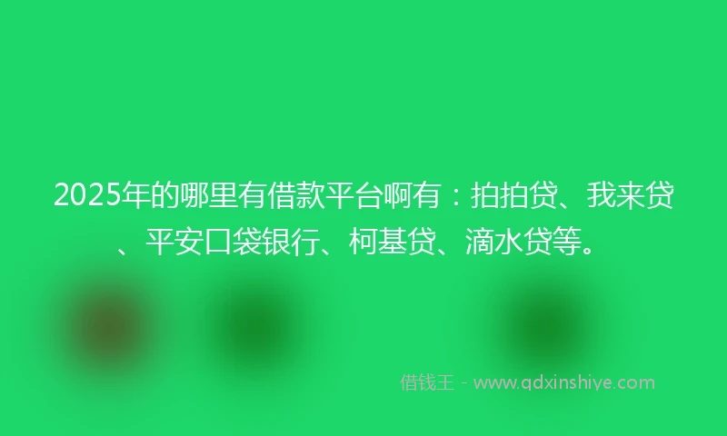 2025年的哪里有借款平台啊有：拍拍贷、我来贷、平安口袋银行、柯基贷、滴水贷等。