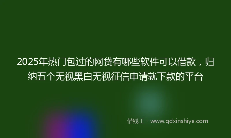 2025年热门包过的网贷有哪些软件可以借款，归纳五个无视黑白无视征信申请就下款的平台