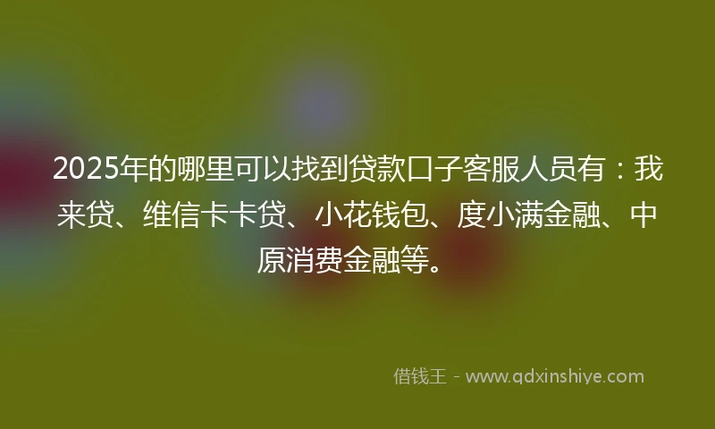 2025年的哪里可以找到贷款口子客服人员有：我来贷、维信卡卡贷、小花钱包、度小满金融、中原消费金融等。