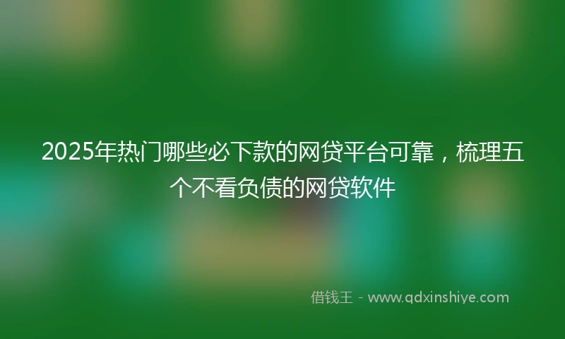 2025年热门哪些必下款的网贷平台可靠，梳理五个不看负债的网贷软件