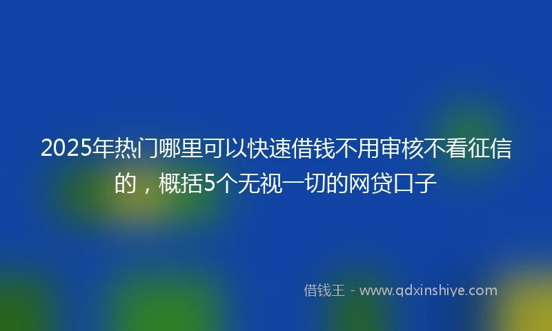 2025年热门哪里可以快速借钱不用审核不看征信的，概括5个无视一切的网贷口子
