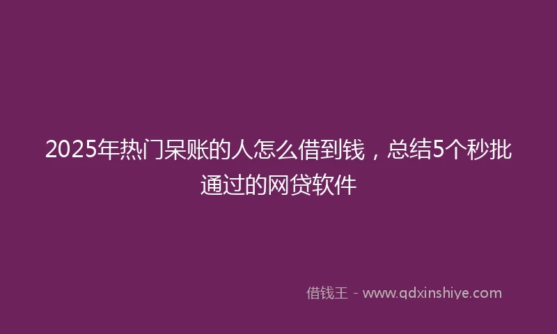 2025年热门呆账的人怎么借到钱，总结5个秒批通过的网贷软件