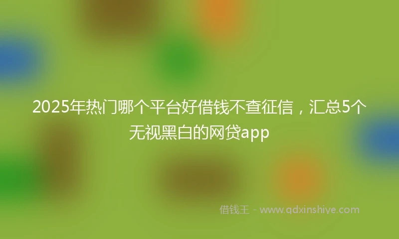 2025年热门哪个平台好借钱不查征信，汇总5个无视黑白的网贷app