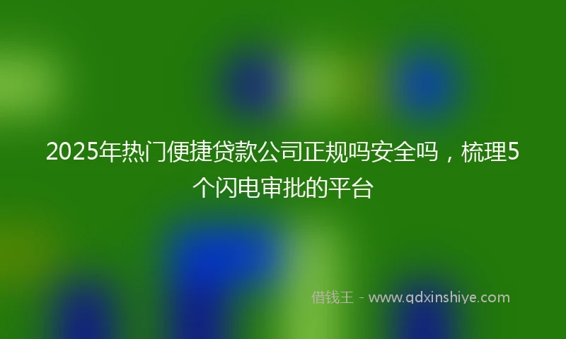 2025年热门便捷贷款公司正规吗安全吗，梳理5个闪电审批的平台