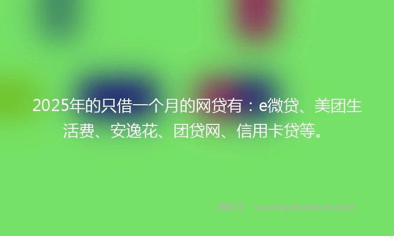 2025年的只借一个月的网贷有：e微贷、美团生活费、安逸花、团贷网、信用卡贷等。