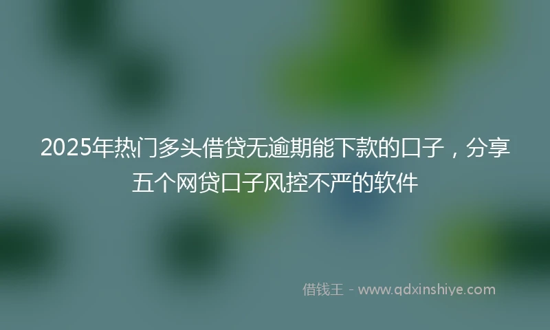 2025年热门多头借贷无逾期能下款的口子，分享五个网贷口子风控不严的软件