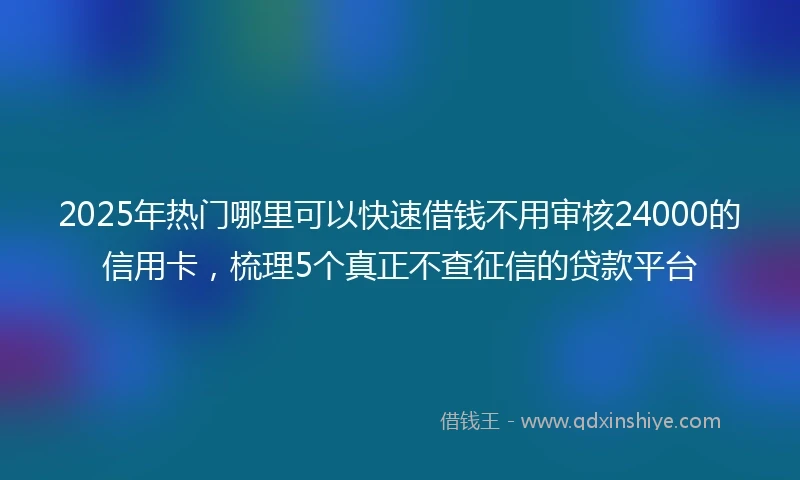 2025年热门哪里可以快速借钱不用审核24000的信用卡，梳理5个真正不查征信的贷款平台