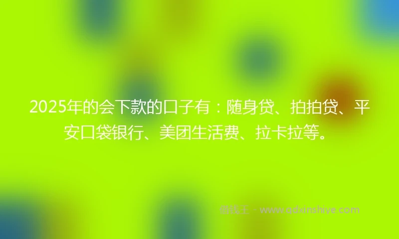 2025年的会下款的口子有：随身贷、拍拍贷、平安口袋银行、美团生活费、拉卡拉等。
