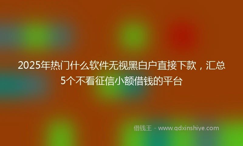 2025年热门什么软件无视黑白户直接下款，汇总5个不看征信小额借钱的平台