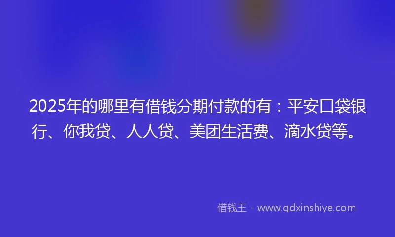 2025年的哪里有借钱分期付款的有：平安口袋银行、你我贷、人人贷、美团生活费、滴水贷等。