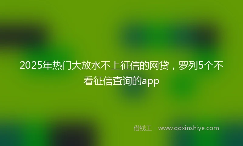 2025年热门大放水不上征信的网贷，罗列5个不看征信查询的app